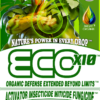 EcoX10 Adjuvant Activator Insecticide, Miticide, Fungicide