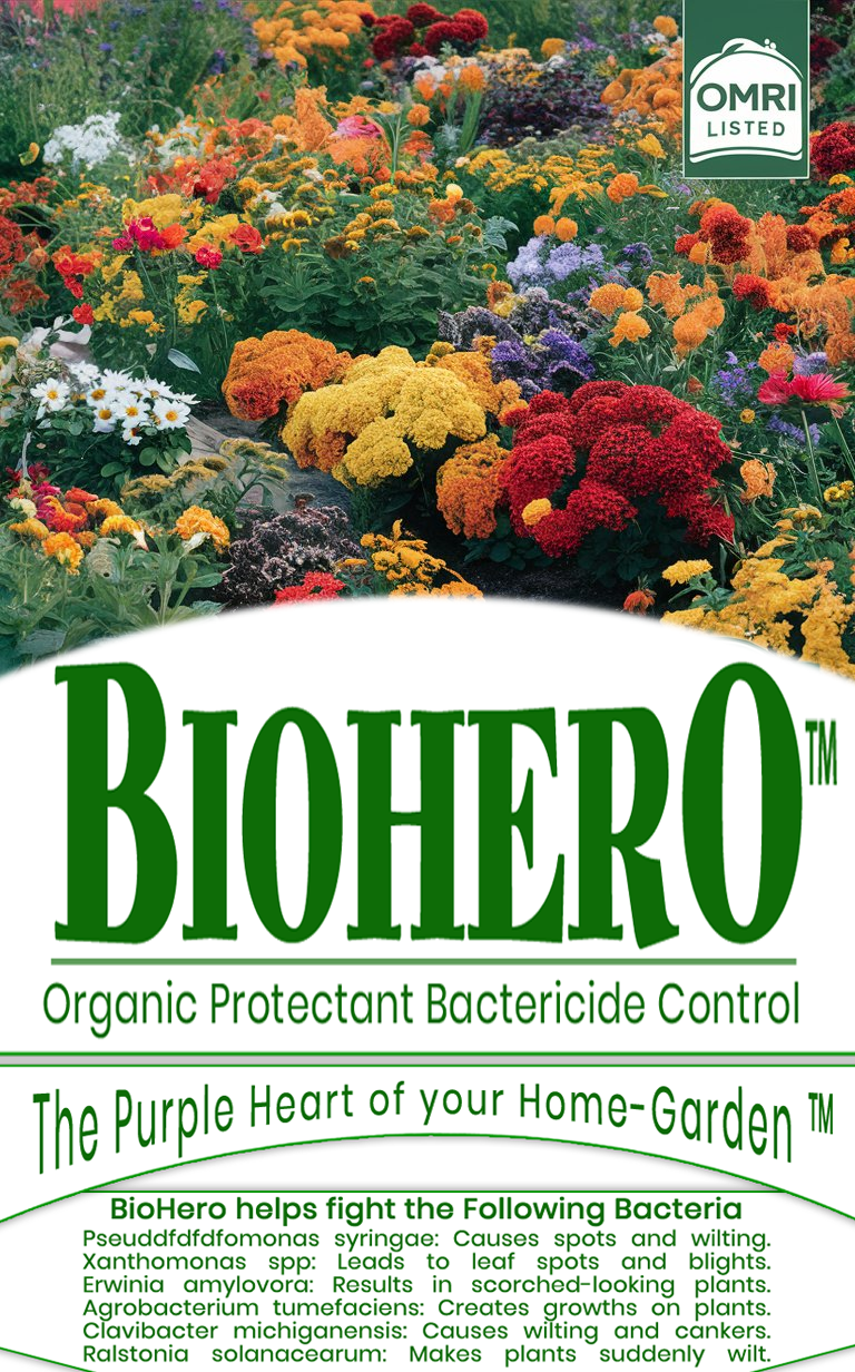 BioHero Organic Bactericide